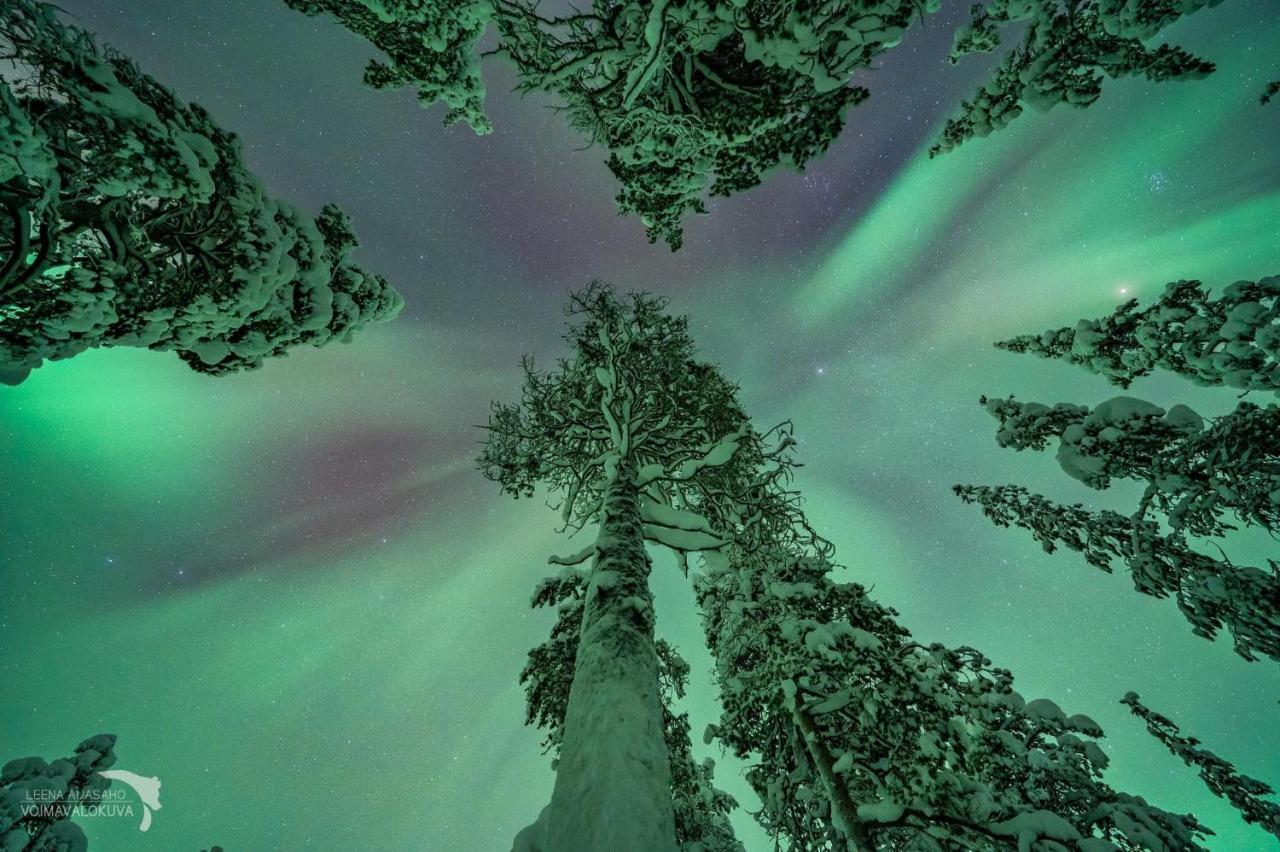 Apartmán Yllaestoelli 2 D, Aekaeslompolo Kolari Exteriér fotografie